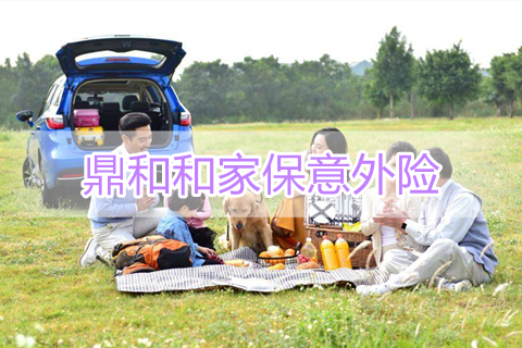 鼎和和家保意外险条款介绍?有什么亮点?